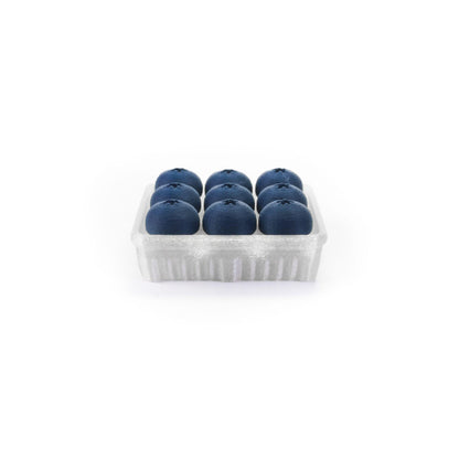 MoosAnime™ Blueberry Fidget Toy