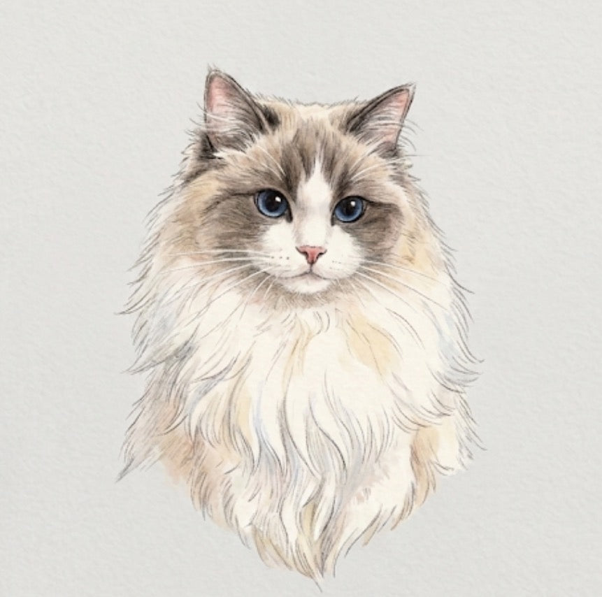 Customer avatar